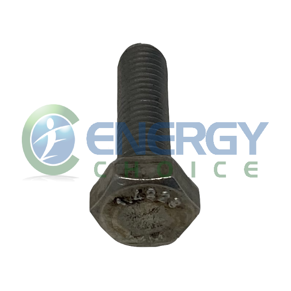 Hexagonal Head Screw, Jenbacher, 201888